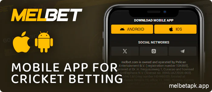 Cricket betting on Melbet app for ios and android devices